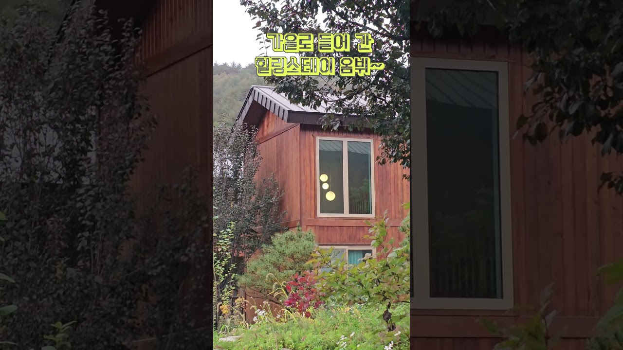 가을로 들어가는 힐링스테이 옴뷔 ㅣ 2025.10.18.(토) #힐링스테이옴뷔 #오대산자연명상마을 #웰니스여행 #명상 #간화선 #강원도평창