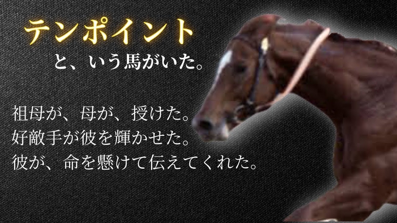 【流星の貴公子】テンポイント🐎✨