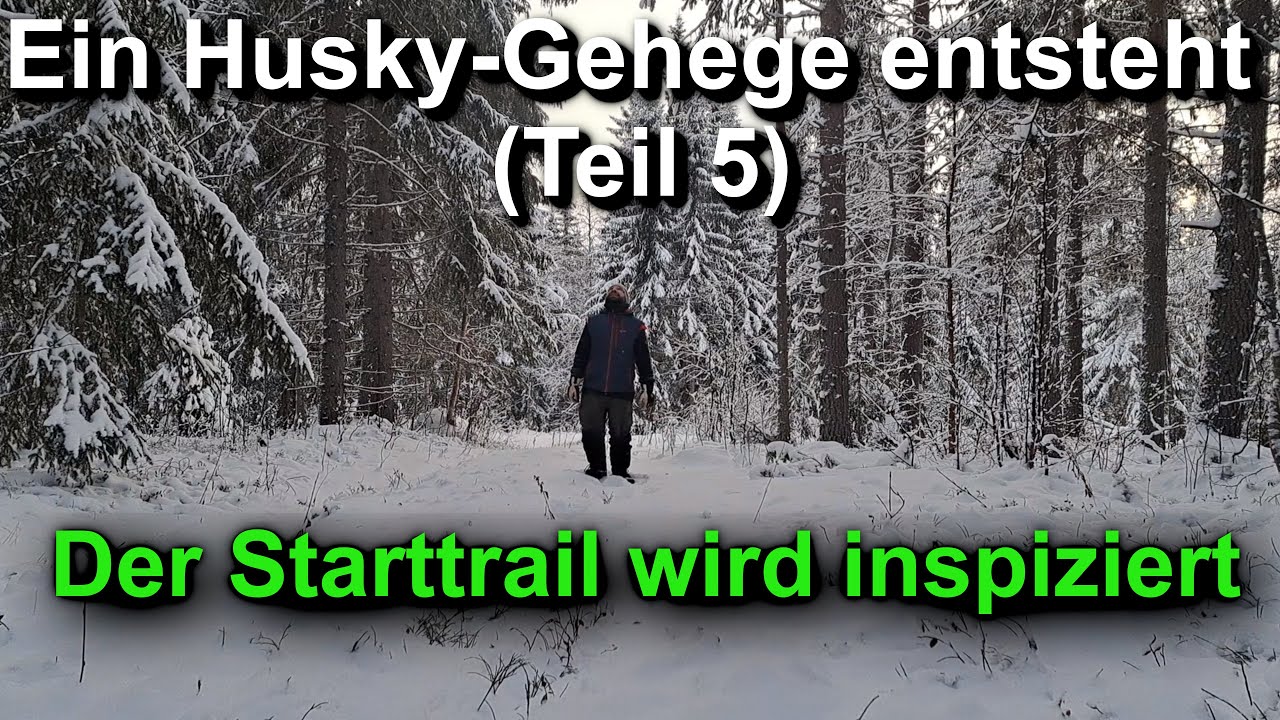 Ein Husky-Gehege entsteht in schwedisch Lappland (Teil 5) - Der Starttrail wird inspiziert