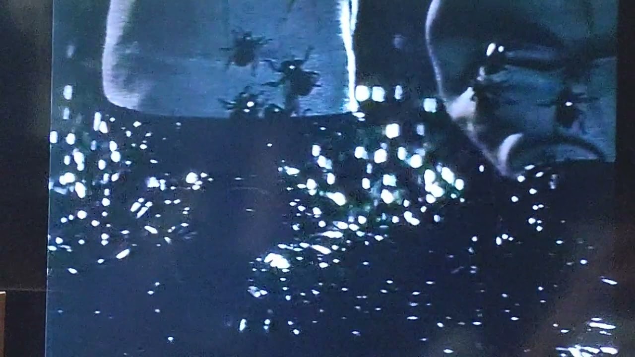 パラダイム　日曜洋画劇場　TV初放送