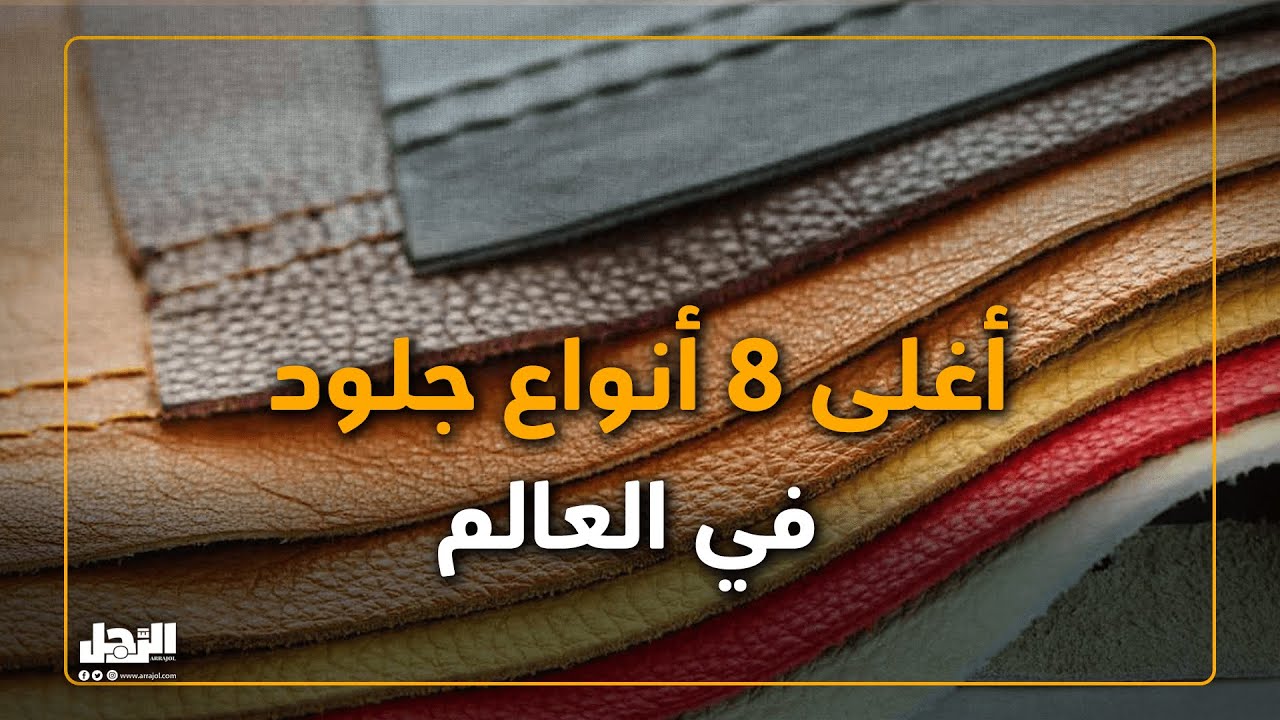 أغلى 8 أنواع جلود في العالم