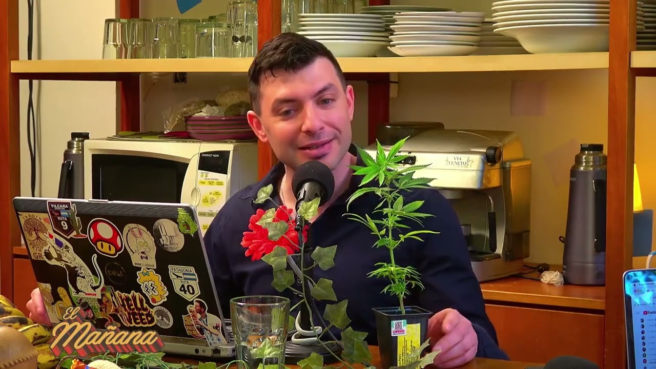 Cultivo de cannabis, recomendaciones para exteriores | Por Jardín Primitivo Grow