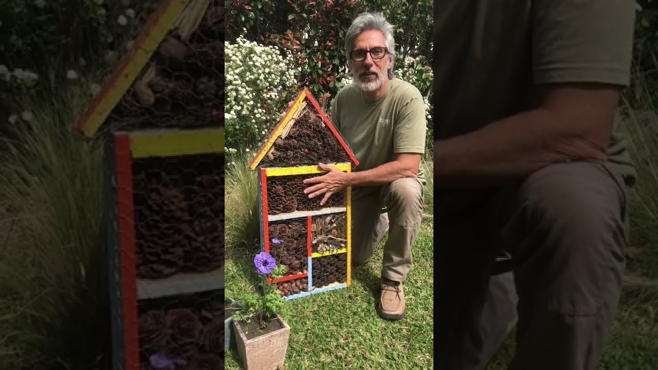 Construimos un hotel de insectos
