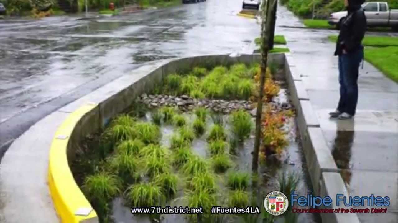 Felipe Fuentes Brings Green Streets Infrastructure to Los Angeles