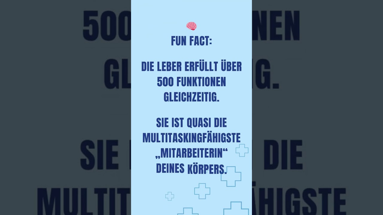 Die Leber ist multitaskingf&auml;hig.