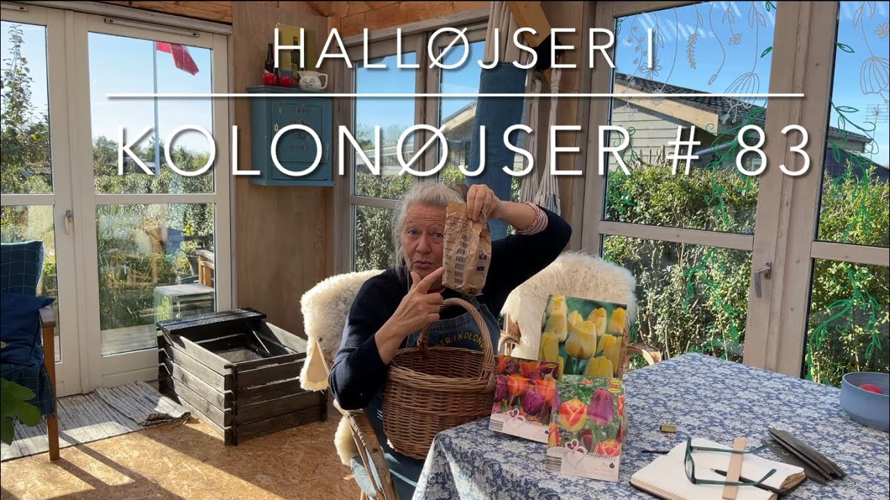 Haveplan og tulipaner #83 - 29. oktober 2025