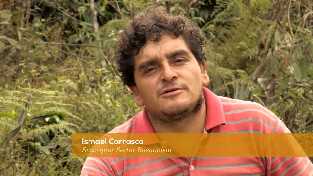 Los grandes aliados del Bosque de Protección Alto Mayo
