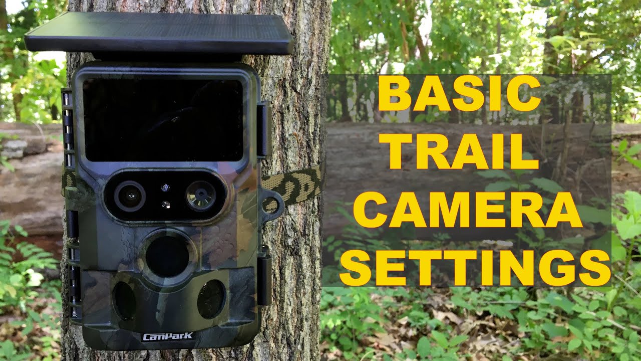 Basic Trail Camera Settings