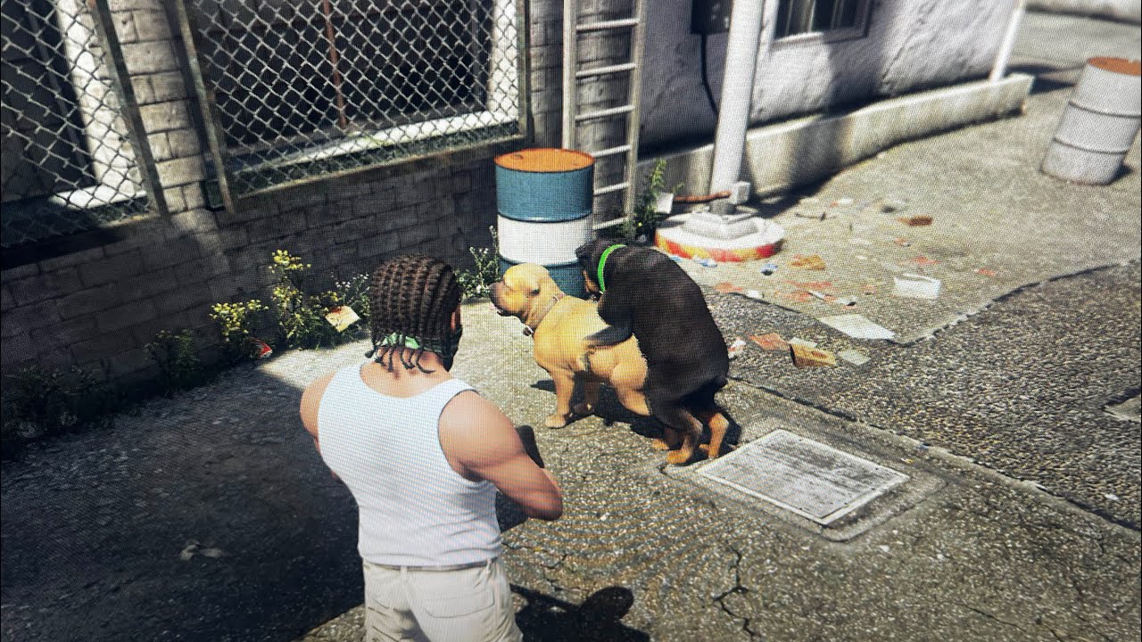 Gtav1