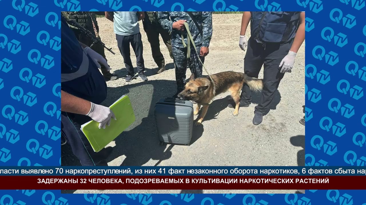 ЗАДЕРЖАНЫ 32 ЧЕЛОВЕКА,ПОДОЗРЕВАЕМЫХ В КУЛЬТИВАЦИИ НАРКОТИЧЕСКИХ РАСТЕНИЙ