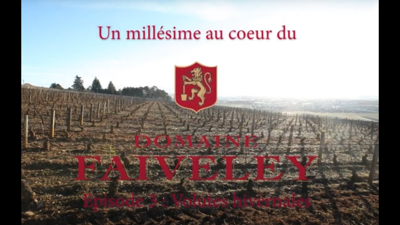 Domaine Faiveley - Volutes Hivernales - VO