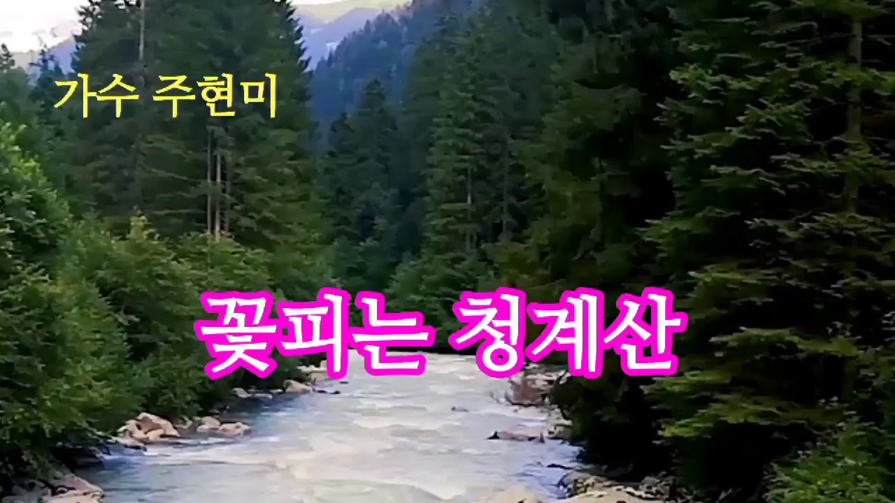 가수 주현미☆꽃피는 청계산(가사첨부)