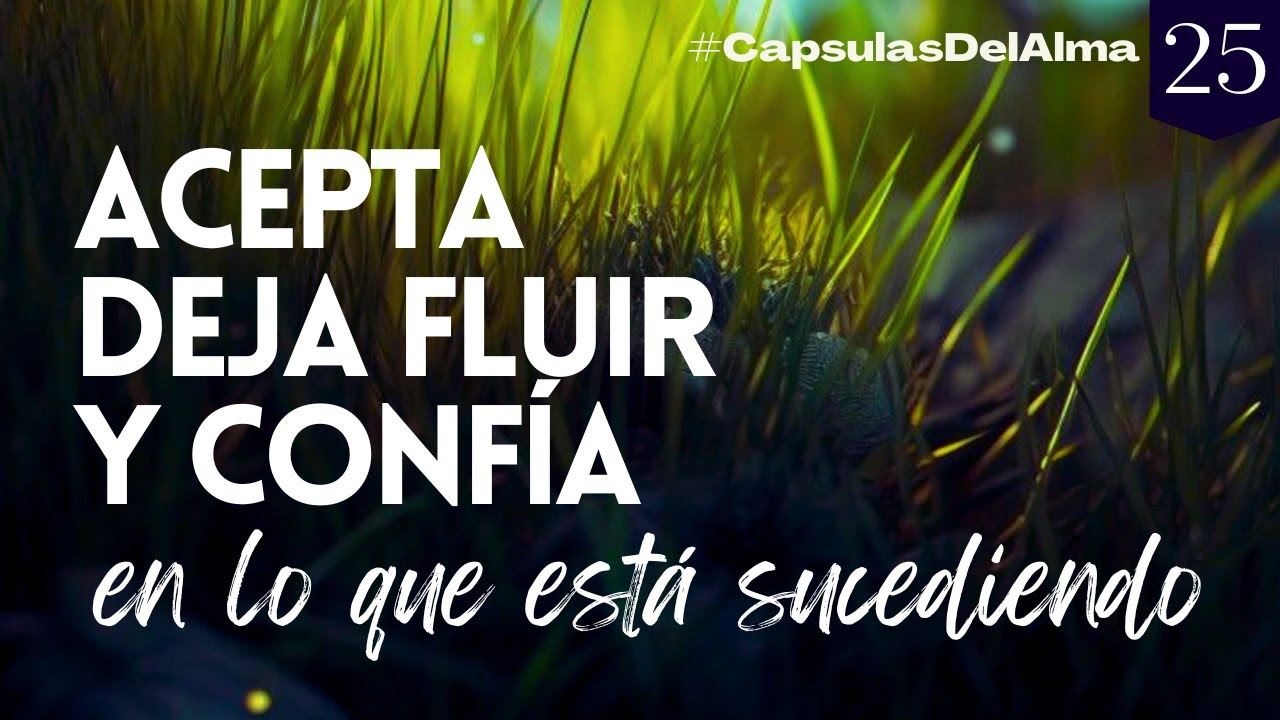 ACEPTA, DEJA FLUIR y CONFÍA en lo que está sucediendo | Reflexión #CapsulasDelAlma 🍃 #25