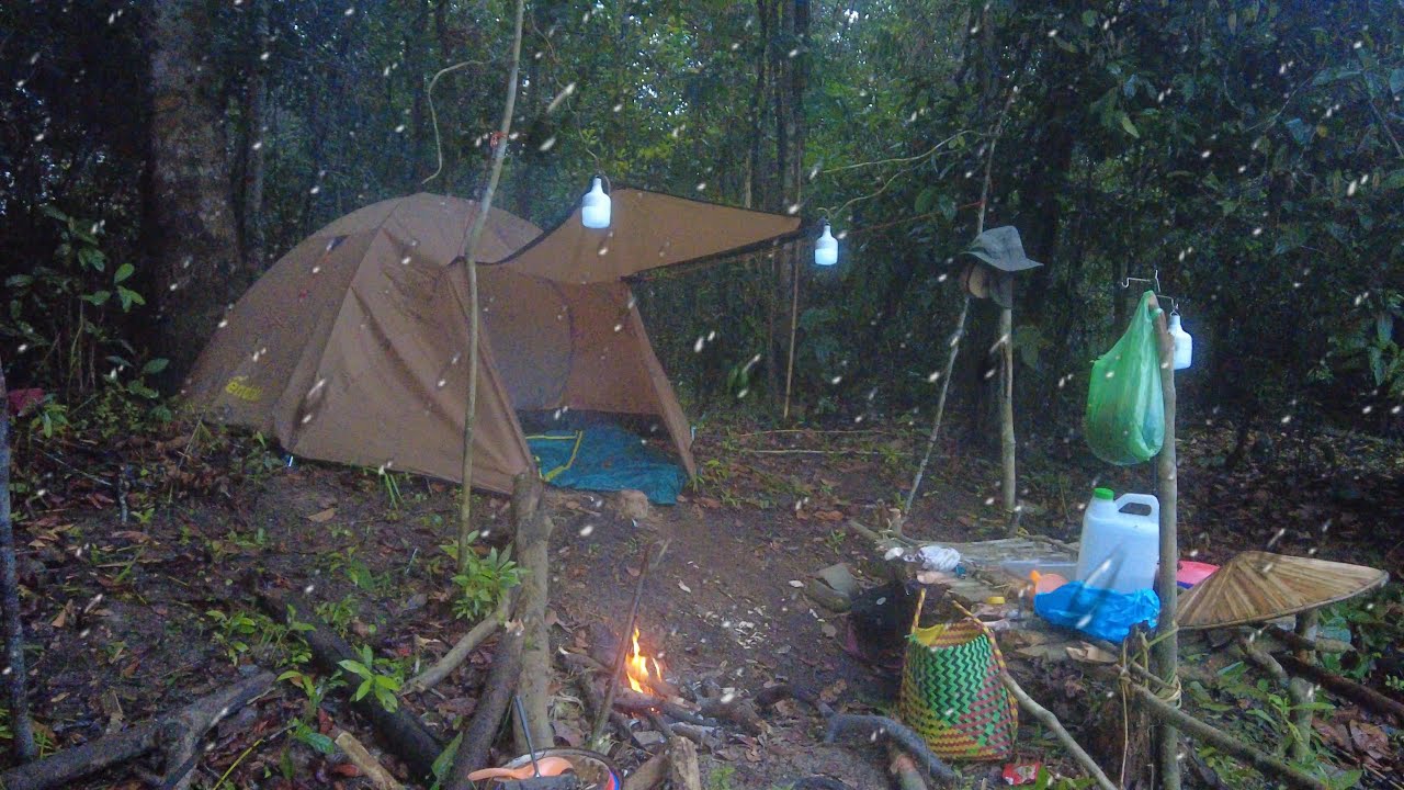 GERIMIS HUJAN SEMALAMAN SAAT BERMALAM DI HUTAN RAWA.. DAN PANEN IKAN DI PAGI HARI