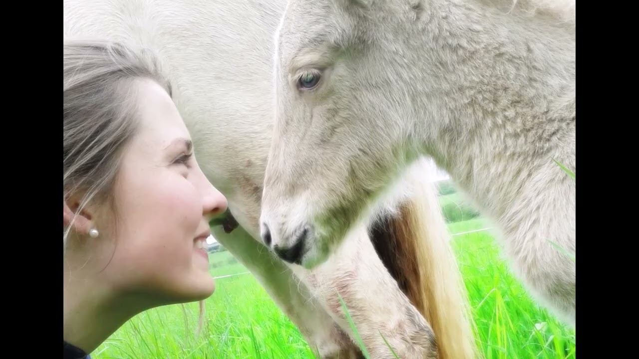 Ferienspa&szlig; auf dem Gest&uuml;t Nahetal