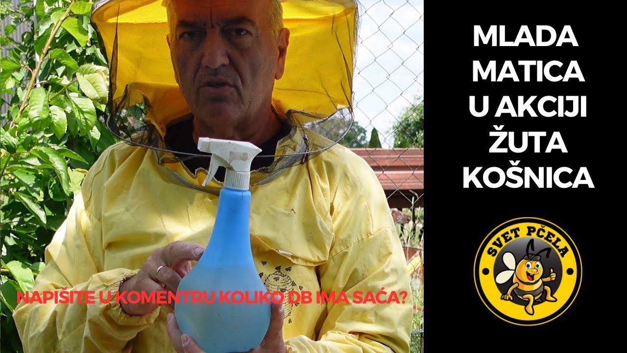 Provera mlade matice- spas za blokiranu košnicu. Pčelarstvo 2025.