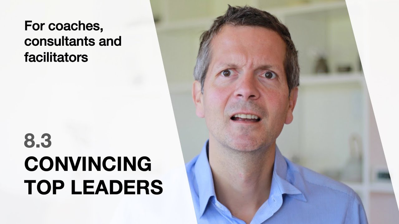 8.3 Convincing top leaders (For coaches, consultants and facilitators)