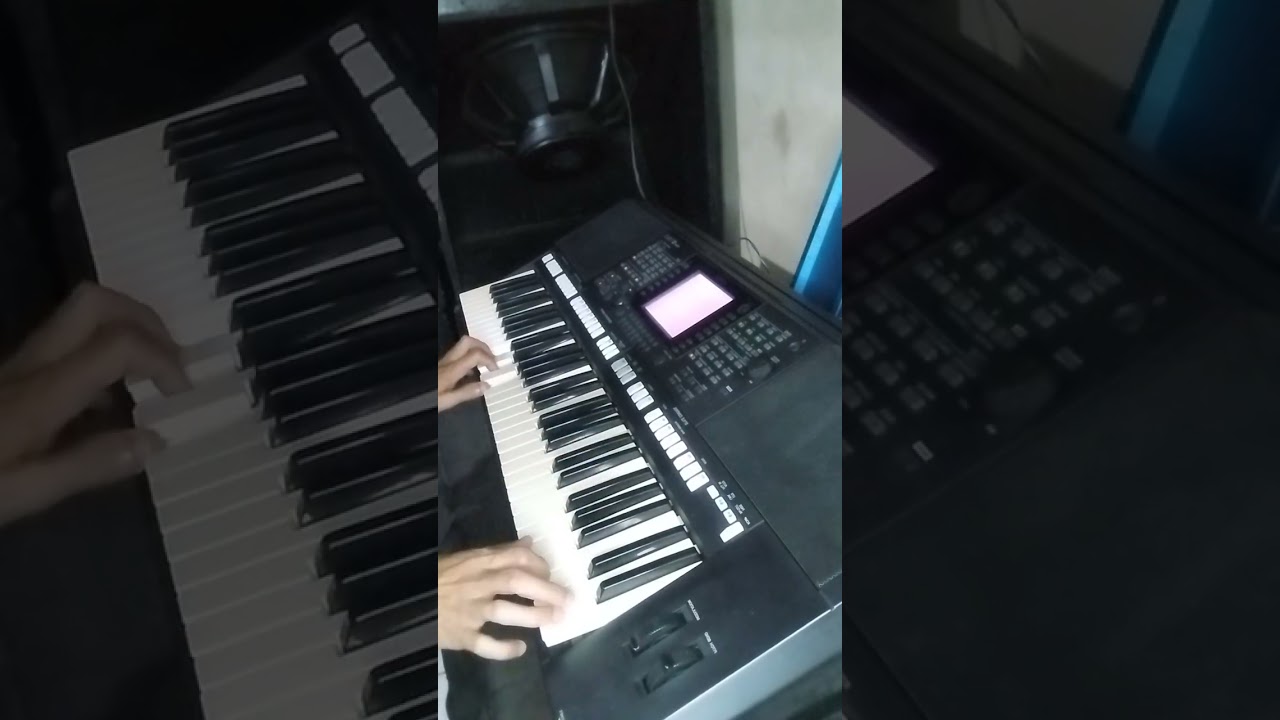 Silvio Max-morango do nordeste🎹