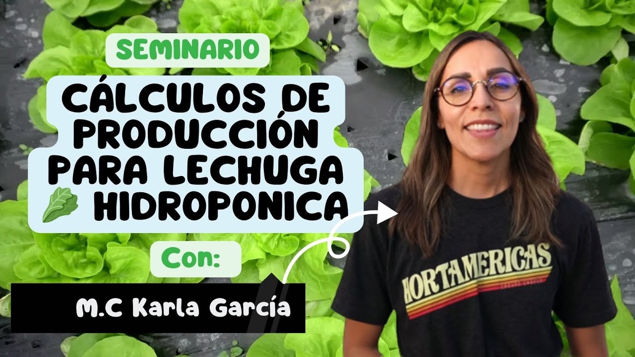 C&aacute;lculos de producci&oacute;n para Lechuga 🥬 hidroponica