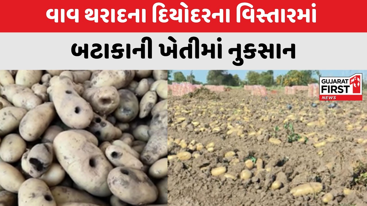 Banaskantha : વાવ થરાદના દિયોદરના વિસ્તારમાં બટાકાની ખેતીમાં નુકસાન | Gujarat First