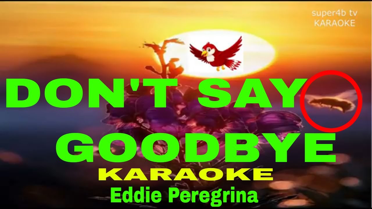 DON'T SAY GOODBYE  By Eddie Peregrina  KARAOKE Version (5-D Surround Sounds)