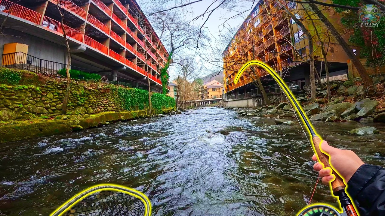 GIANT TROUT Shouldn't Be Here…but They're EVERYWHERE!