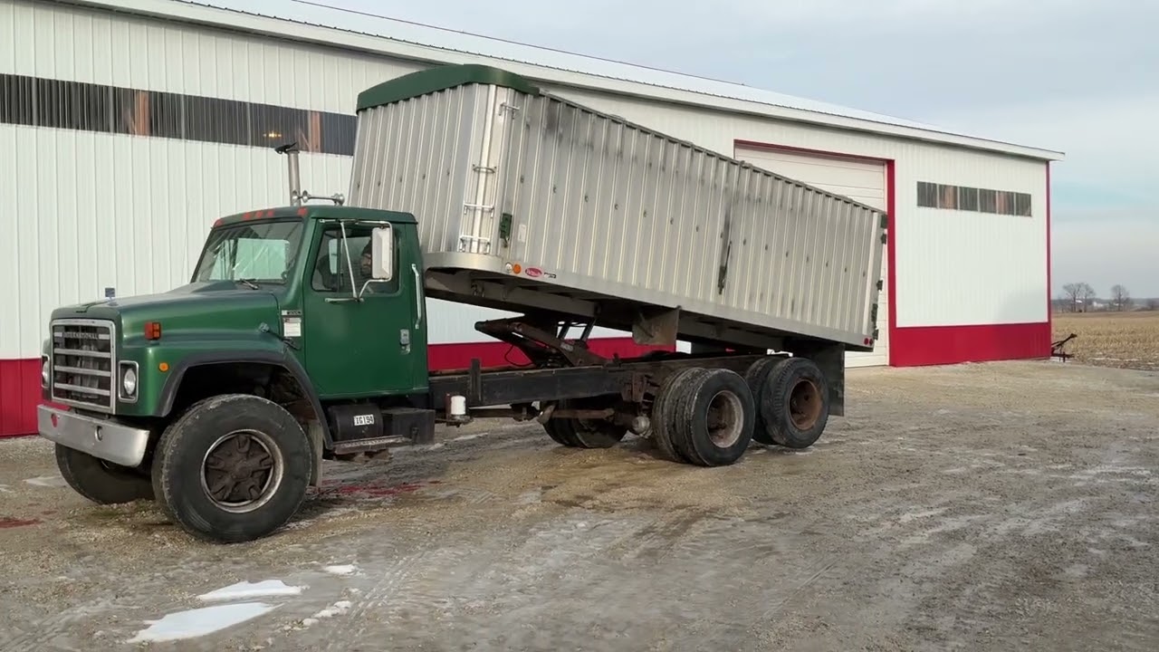 1979 IH 1854 grain truck