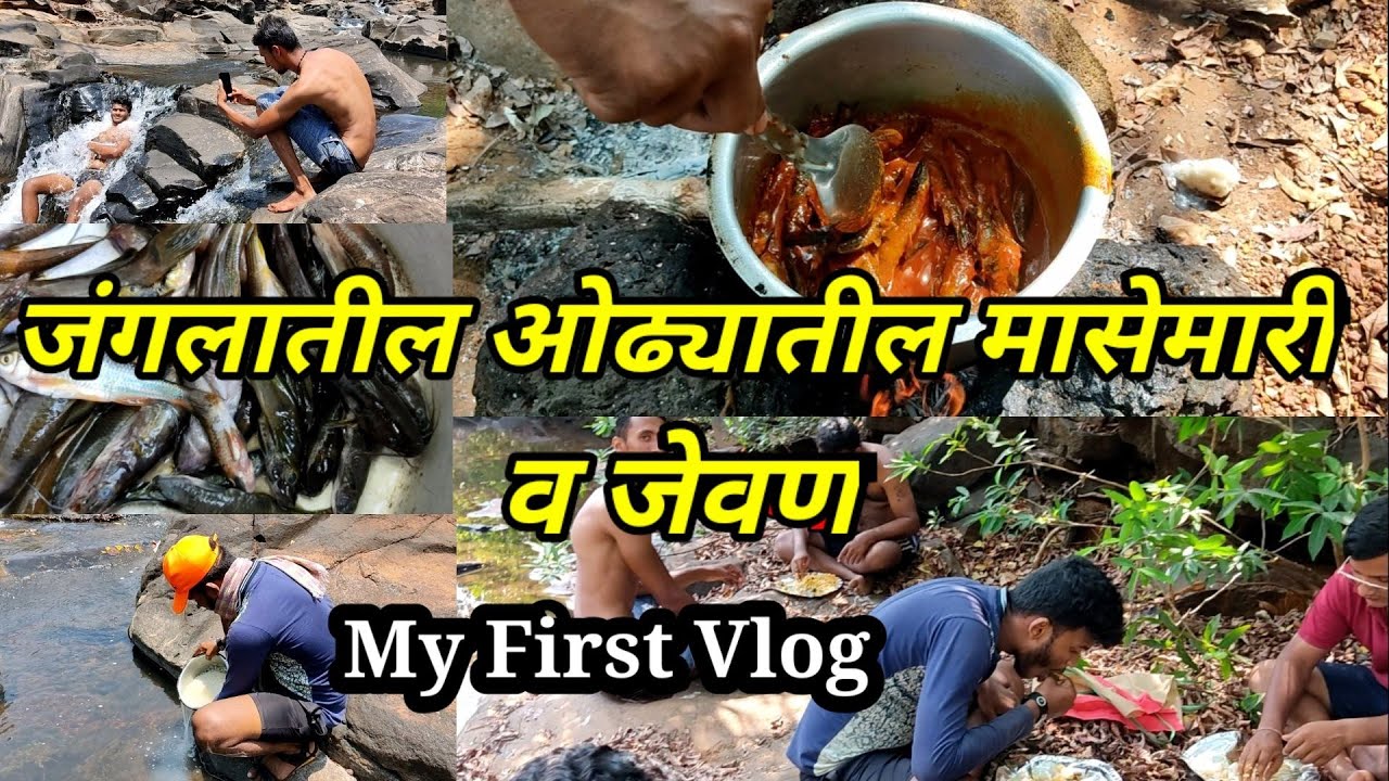 जंगलामधील ओढ्यातील मासेमारी व जेवन|| My First Vlog ||राजापूर(जुवाठी)||