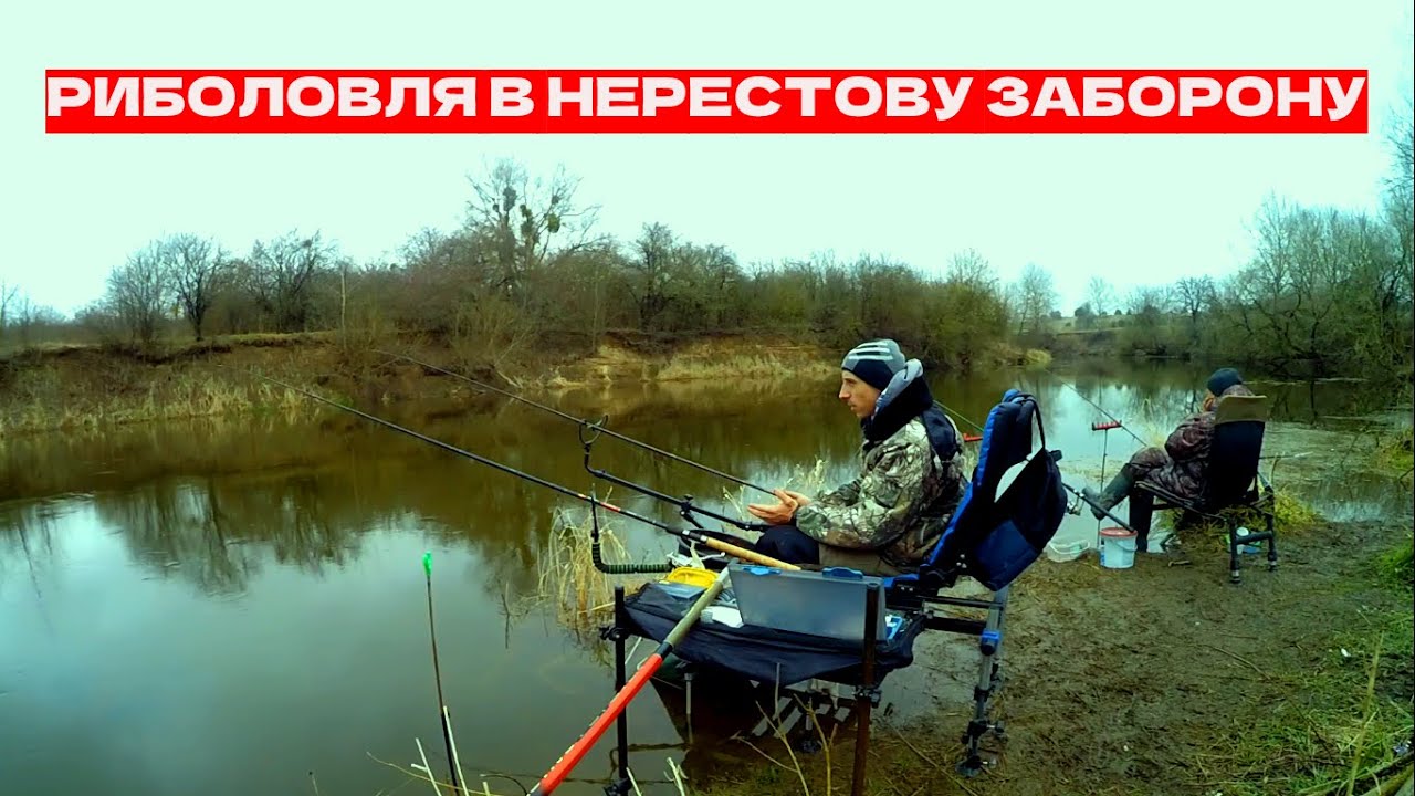 Фідерна риболовля у квітні на р. Горинь. Рибалка в НЕРЕСТОВУ ЗАБОРОНУ!!!  Дуже ВИСОКА вода!!!