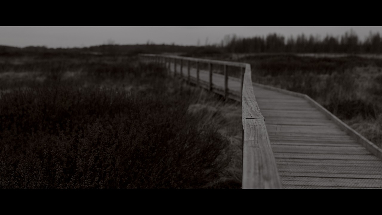 yszatis - "Worries in a Field" (Lyric Video)