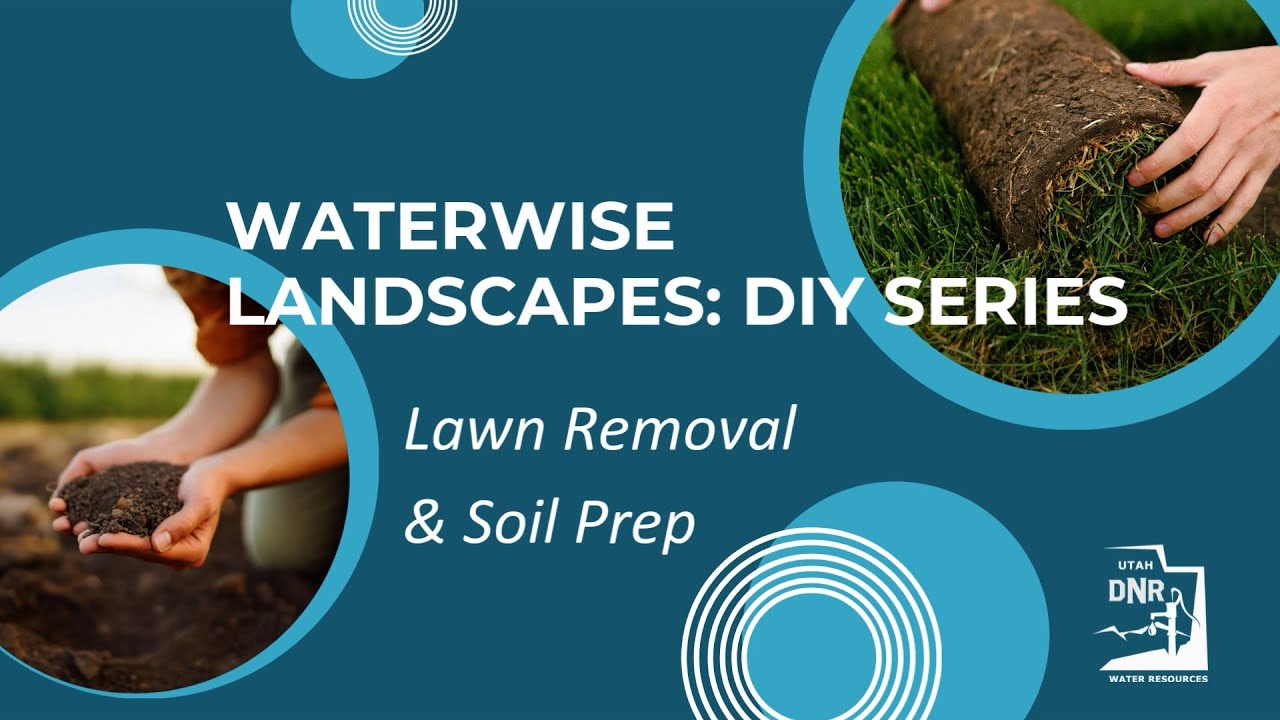 Waterwise Landscapes DIY Series: Tips for Removing Lawn and Prepping Soil