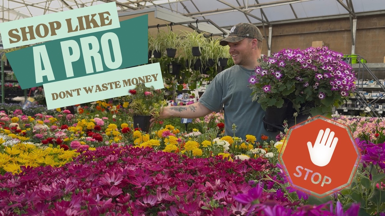 Plant Shopping Secrets Most Gardeners Don’t Know