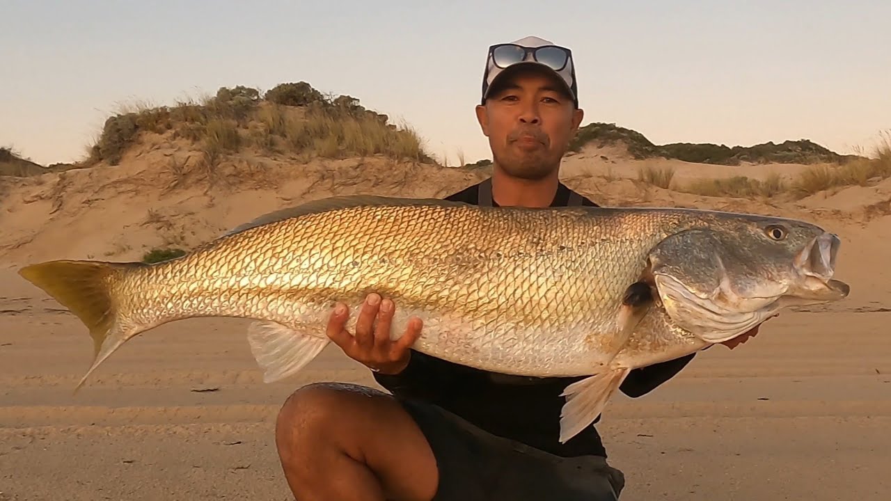 SOLO Beach Fishing: Heart Racing, MASSIVE FISH, CATCH and COOK