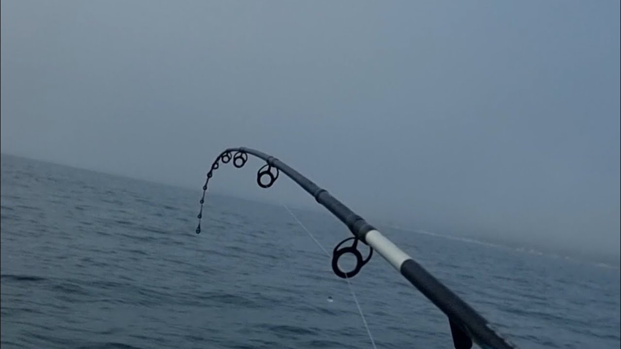 sib fishing UK on the south coast #inflatableboatfishing