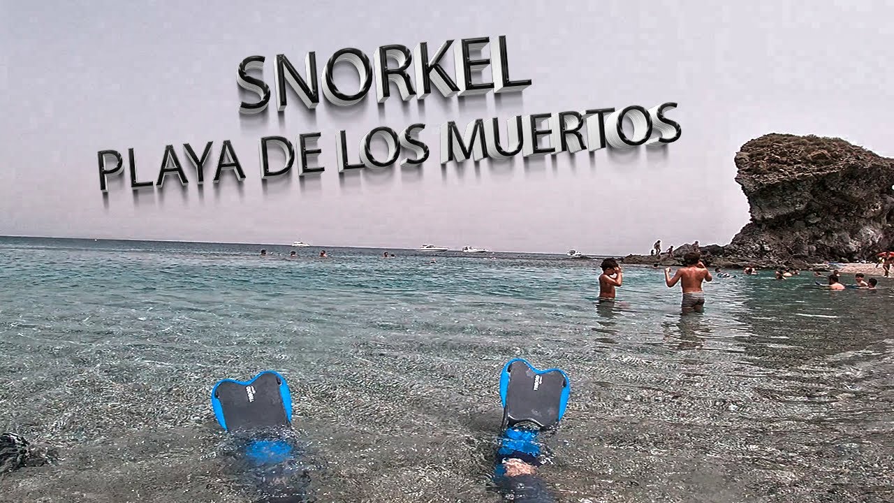 SNORKEL DAY 🏖 PLAYA DE LOS MUERTOS 🌊☠