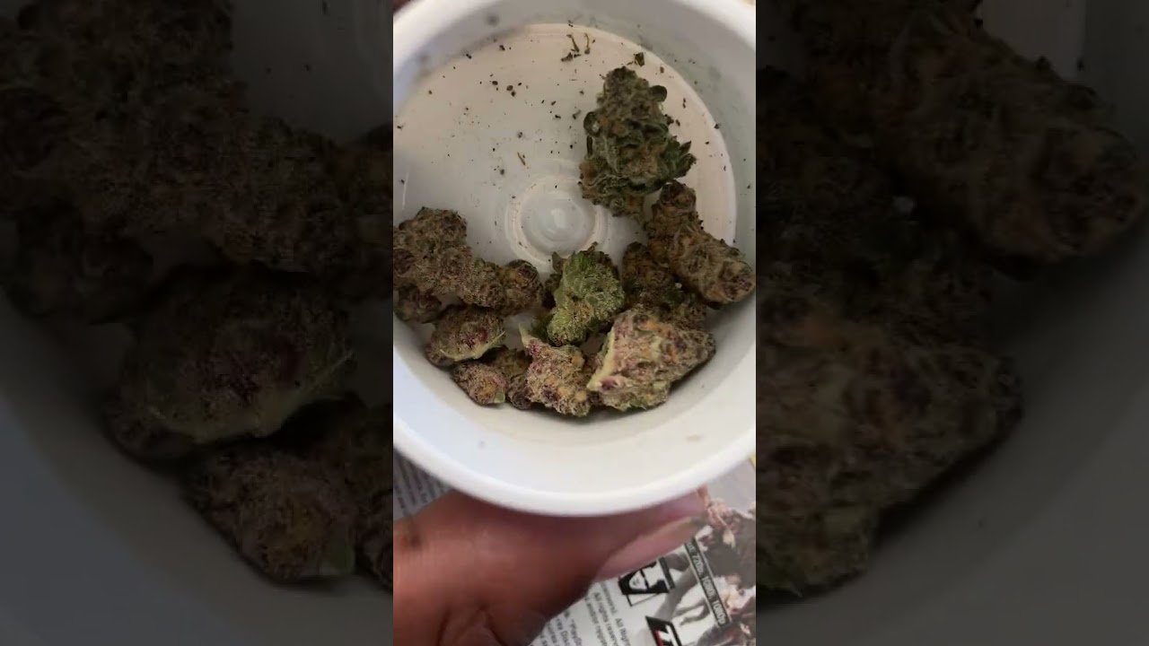 GTI SHINE RUNTZ CAKE STRAIN 2023