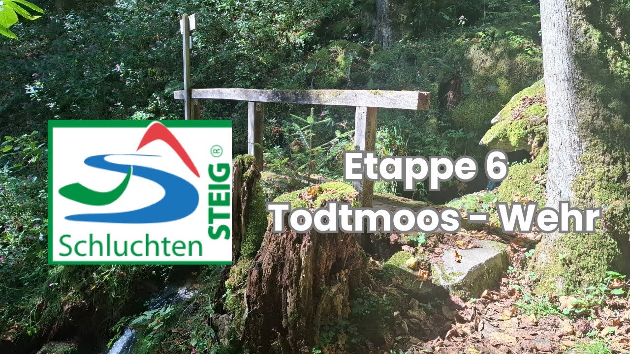 Schluchtensteig Etappe 6: Von Todtmoos nach Wehr | Finale im Schwarzwald 4K