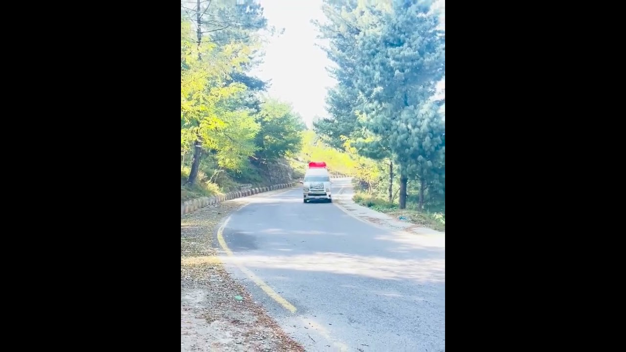 Scenic Mountain Drive from Malam Jabba | Nature Therapy & Peaceful Adventure in Pak #shortvideo
