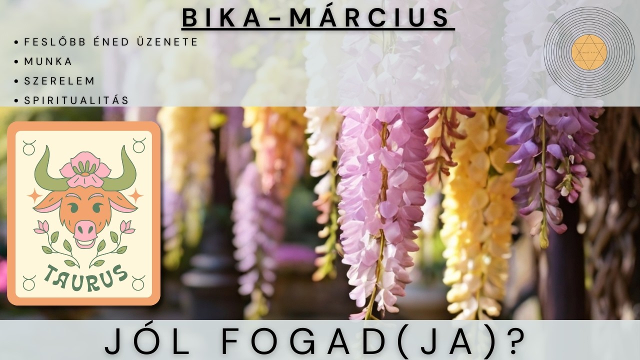 Bika - Március - Jól fogad(ja)?- Tarot előrejelzés