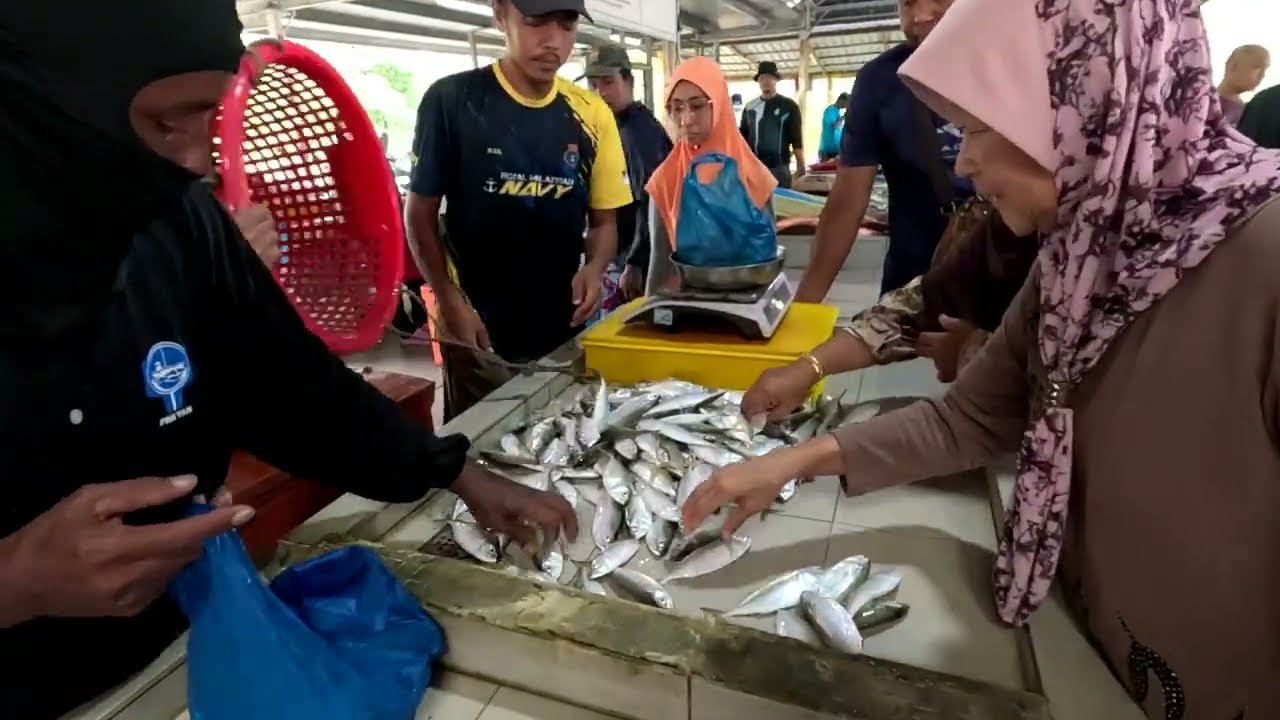 THE CHEAPEST PLACE TO SELL FISH TEMPAT IKAN PALING MURAH DI NEGERI KEDAH I SEPINGGAN RM2.00