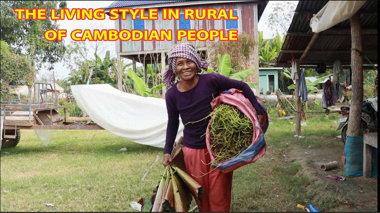 Cambodian's Village Life || Cambodia Rural Lifestyle [ khmer rural post]