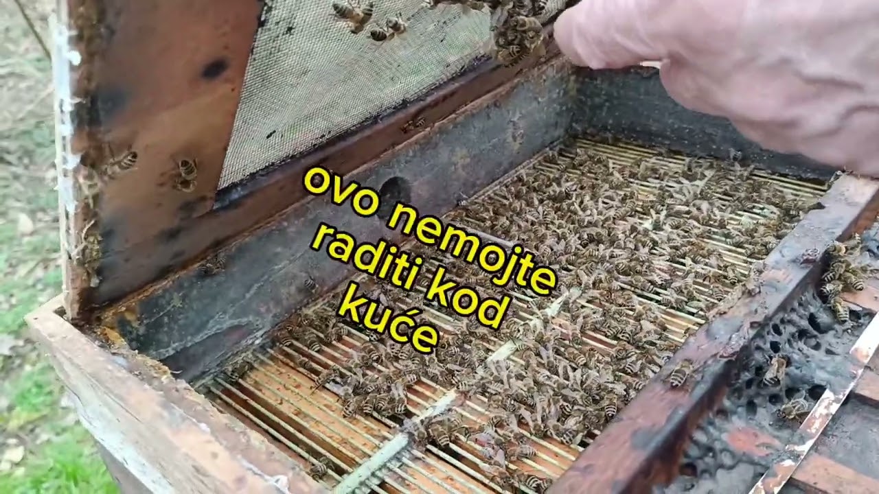 Termo daska?Kada i za koga...