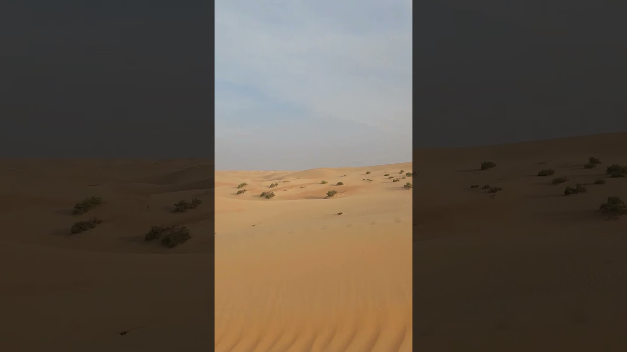 #dubai