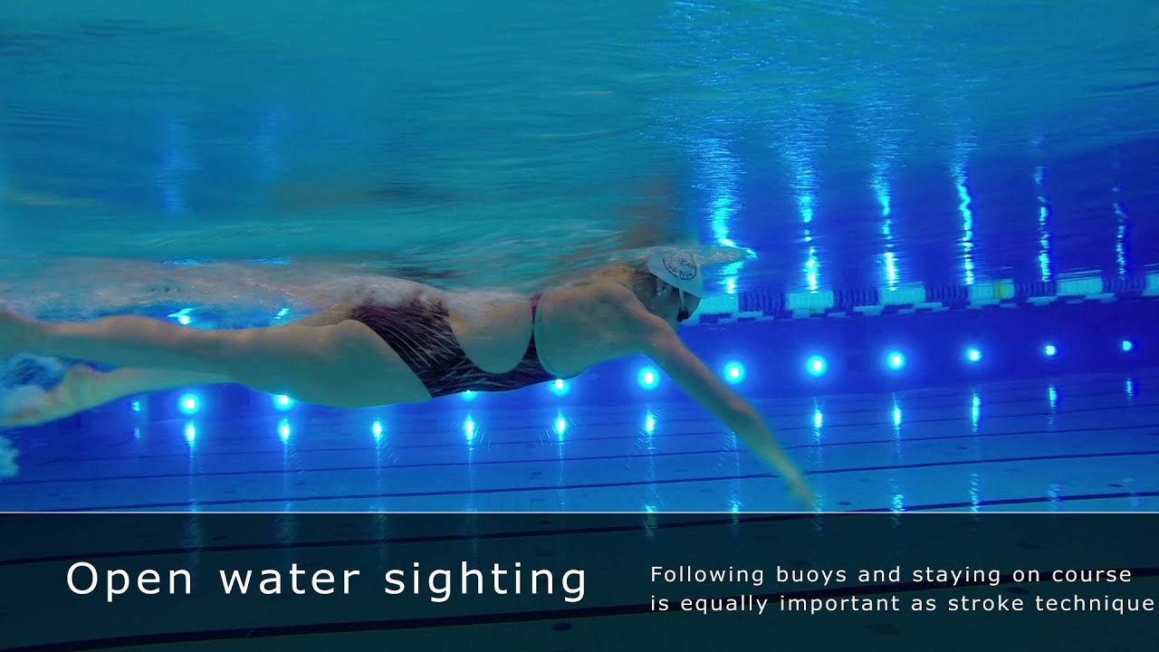 open water sighting