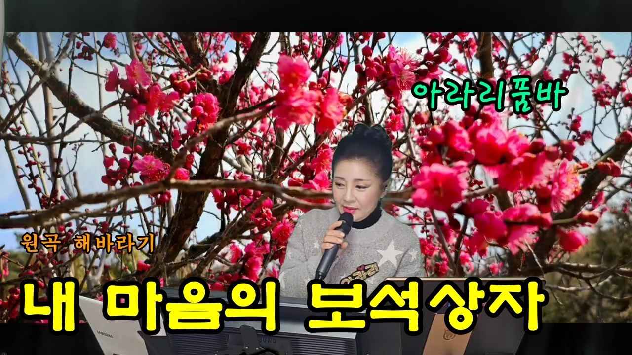 아라리품바 - 내 마음의 보석상자(원곡 해바라기)