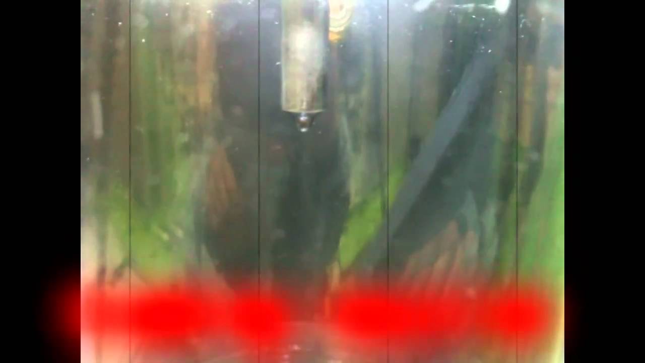 MT-3000