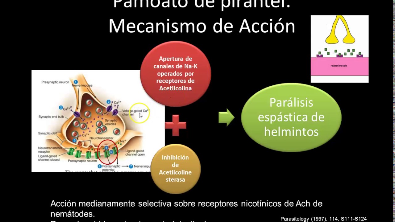 Manejo Médico de Infecciones Parasitarias: Modulo II