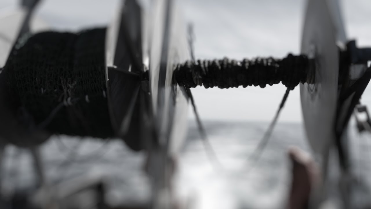 Gulf of Maine, Explained: Trawling