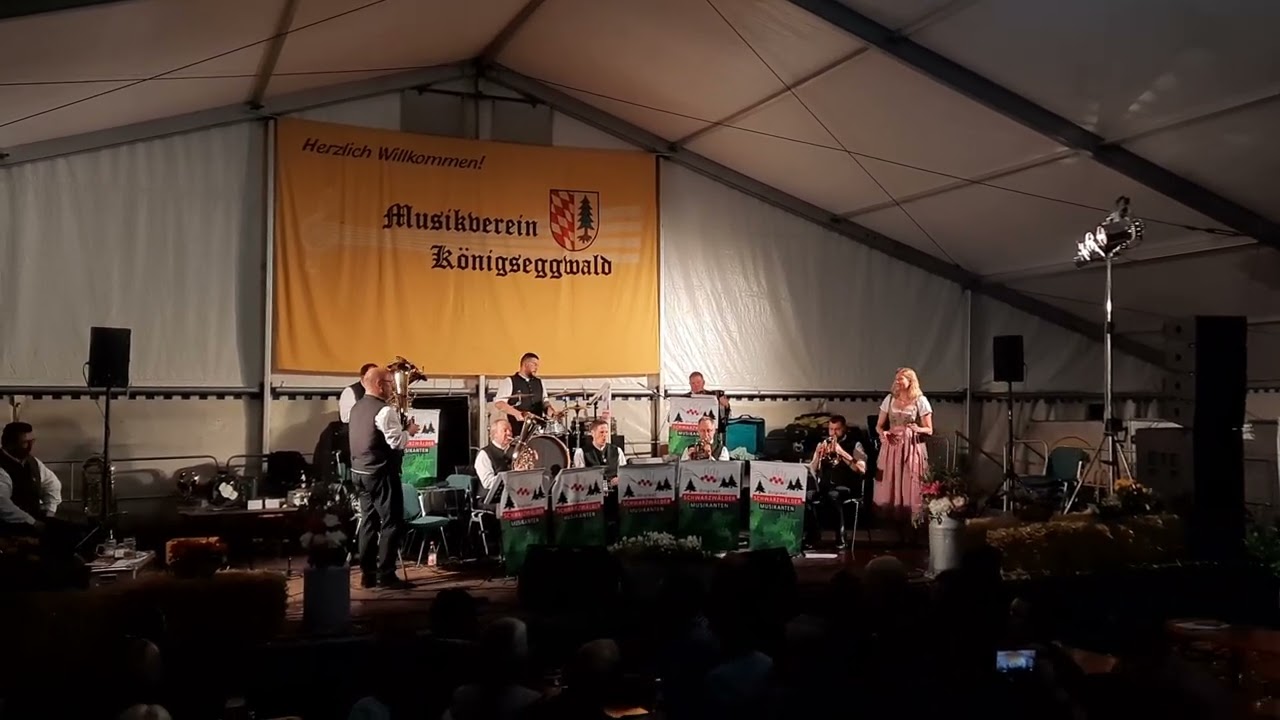 Du bist viel zu schön für mich - Original Schwarzwald Musikanten