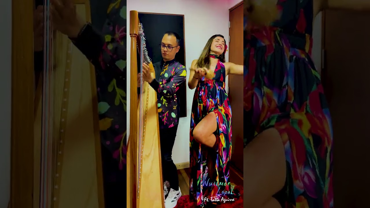 Wuilmer López Ft. Tatta Aguirre - La Vida es un Carnaval (Arpa y Maracas)